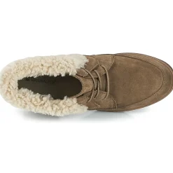 El Naturalista - LICHEN