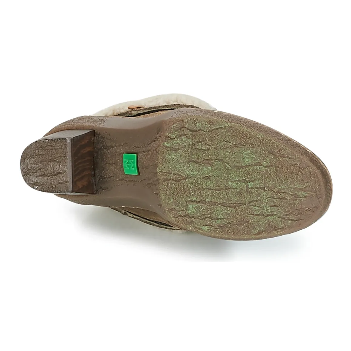 El Naturalista - LICHEN