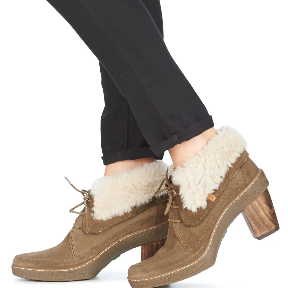 El Naturalista - LICHEN