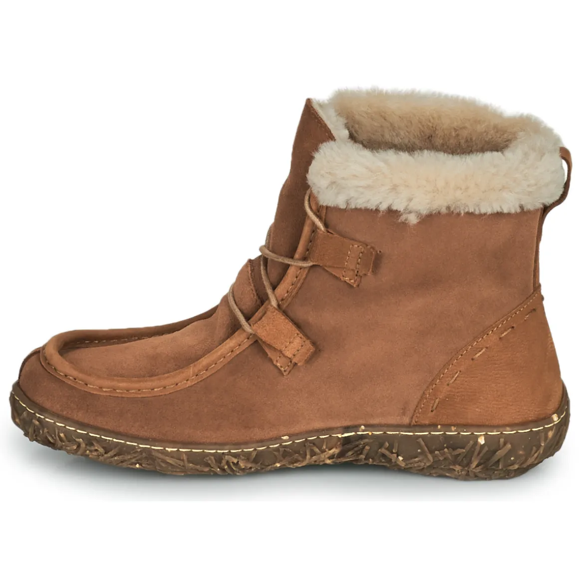 El Naturalista - NIDO ELLA N5449