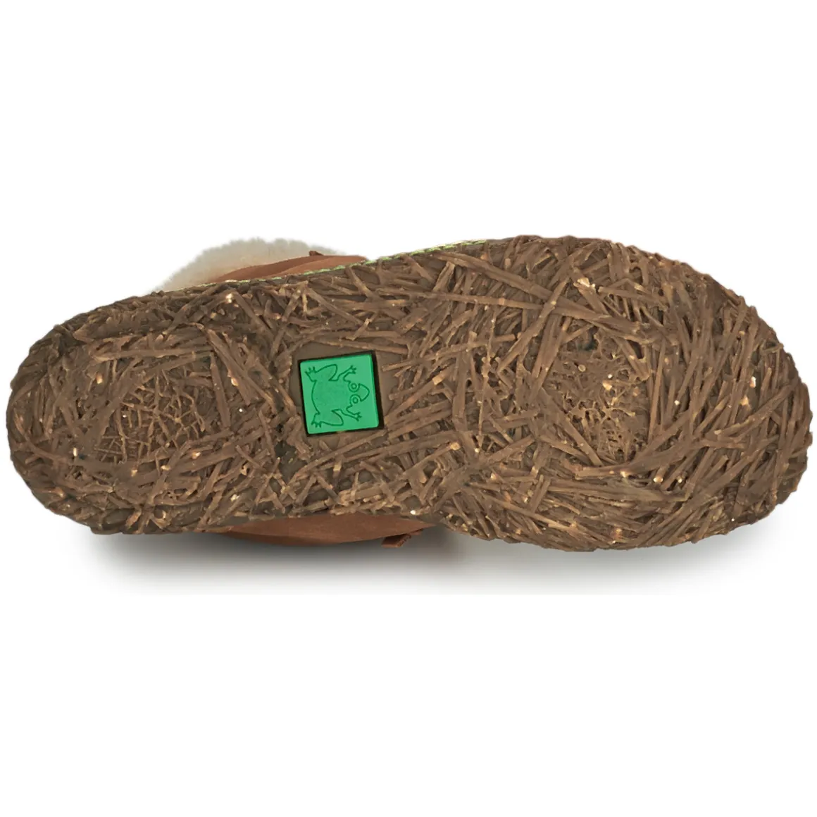 El Naturalista - NIDO ELLA N5449