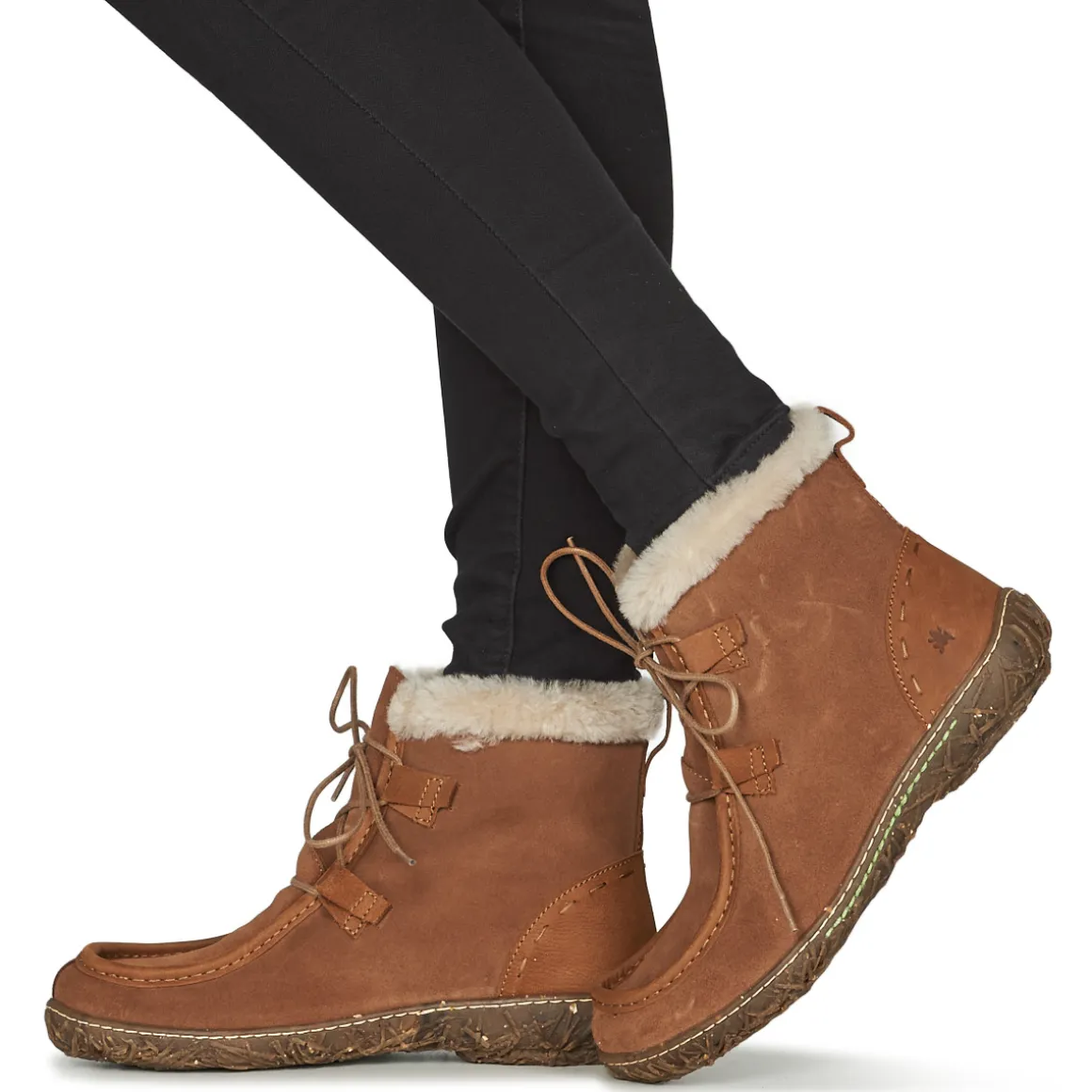 El Naturalista - NIDO ELLA N5449