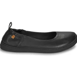 El Naturalista - ORIGEN N5912