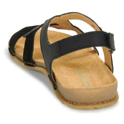 El Naturalista - PANGLAO N5819