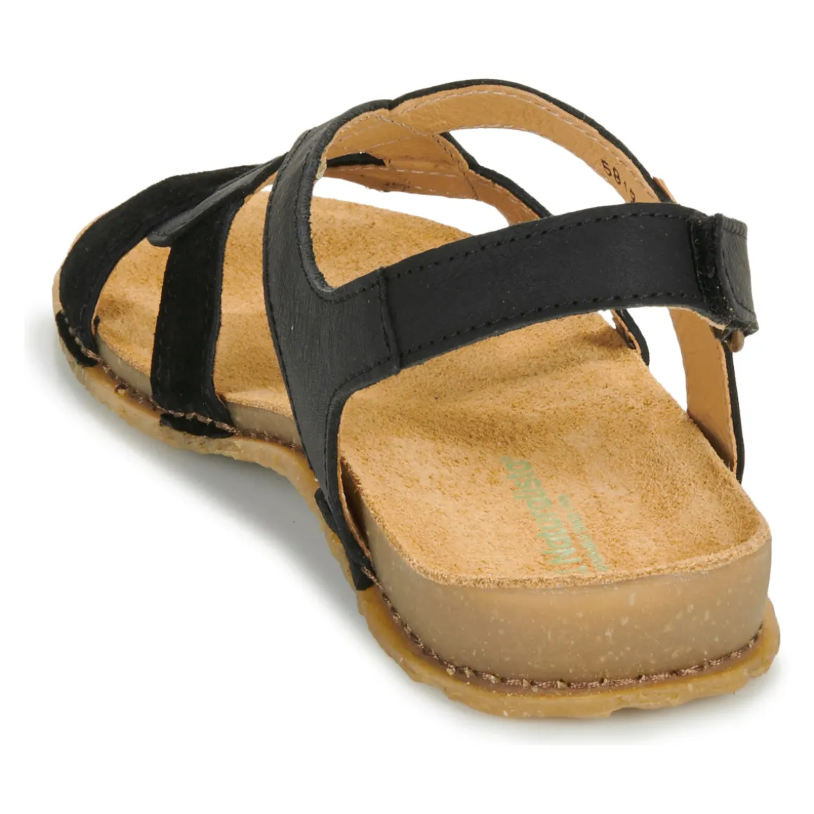 El Naturalista - PANGLAO N5819