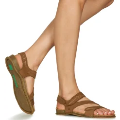 El Naturalista - PANGLAO N5810