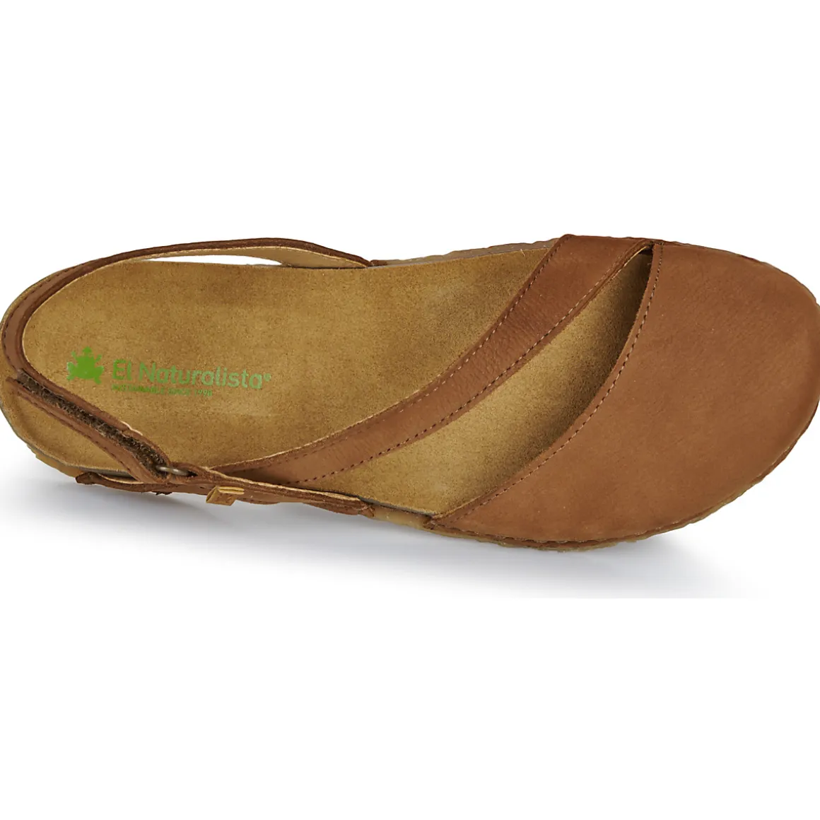 El Naturalista - PANGLAO N5813