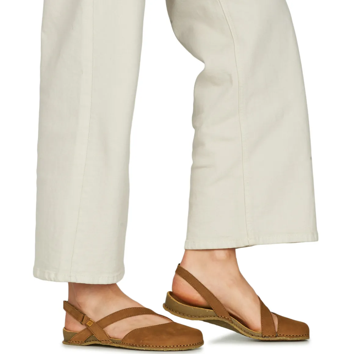 El Naturalista - PANGLAO N5813