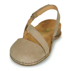 El Naturalista - PANGLAO N5813