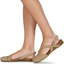 El Naturalista - PANGLAO N5813