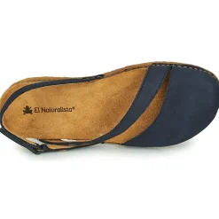 El Naturalista - PANGLAO N5813