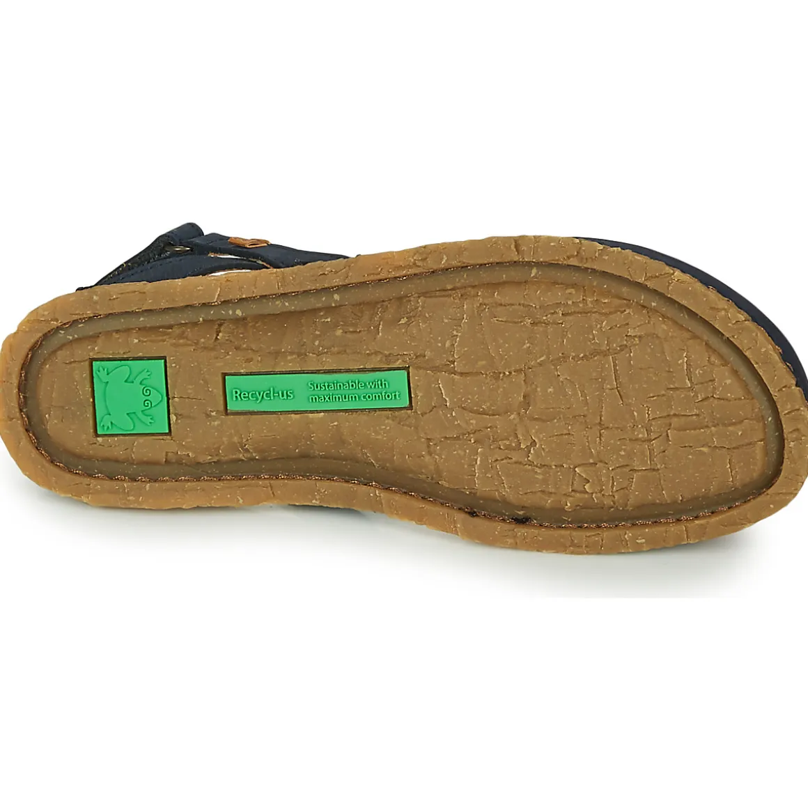 El Naturalista - PANGLAO N5813