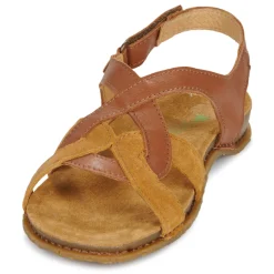 El Naturalista - PANGLAO N5819