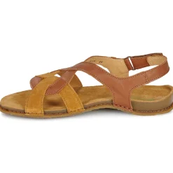 El Naturalista - PANGLAO N5819