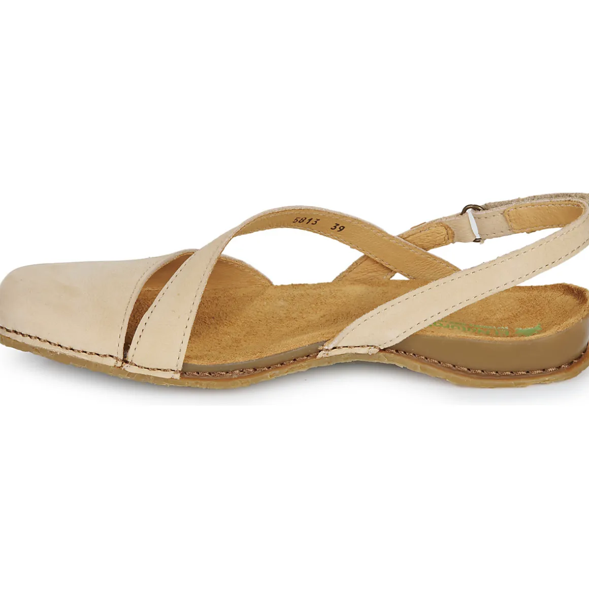 El Naturalista - PANGLAO N5813