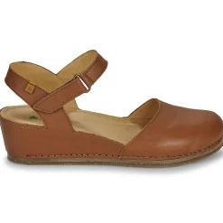 El Naturalista - PICUAL N5850