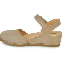 El Naturalista - PICUAL N5850