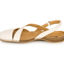 El Naturalista - PLANGLAO