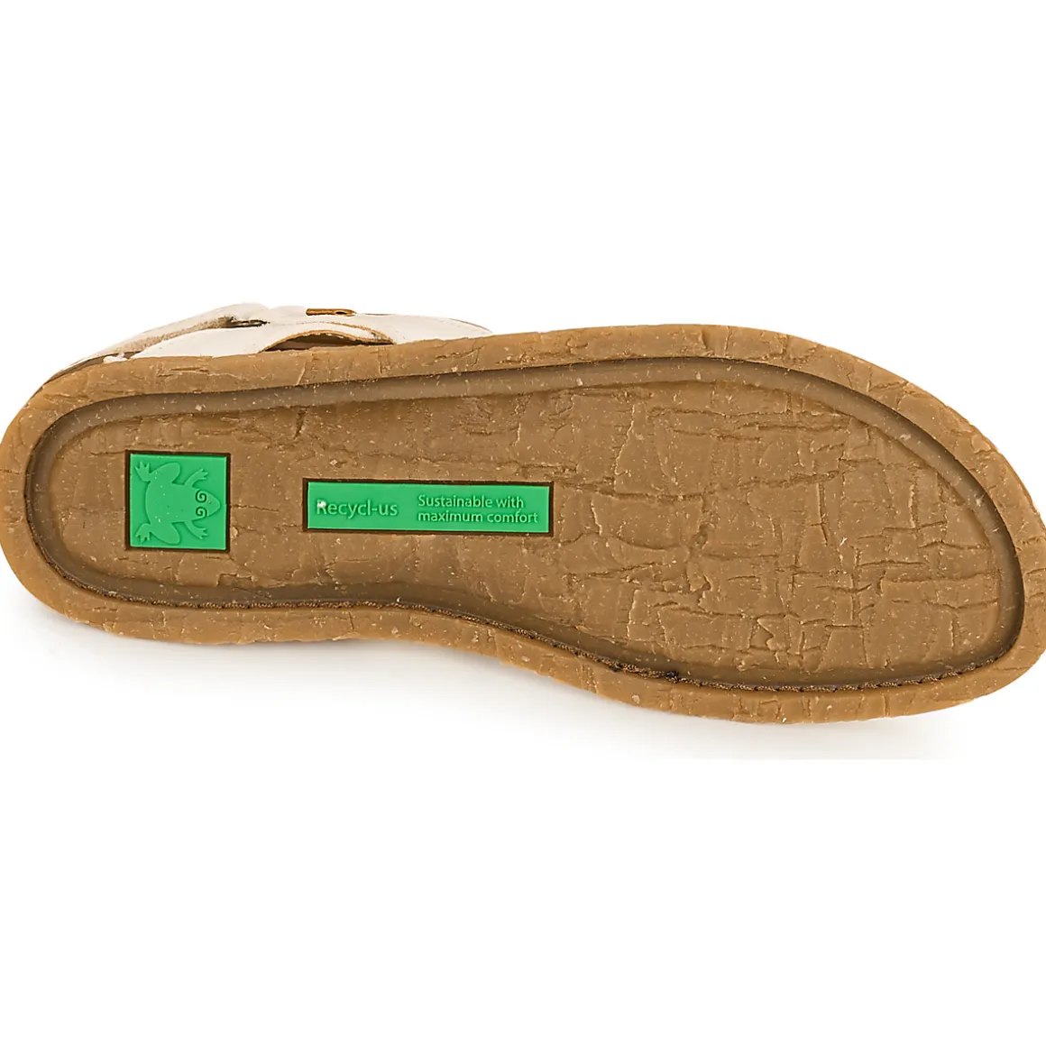 El Naturalista - PLANGLAO