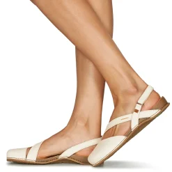 El Naturalista - PLANGLAO