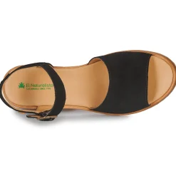 El Naturalista - SABAL N5801