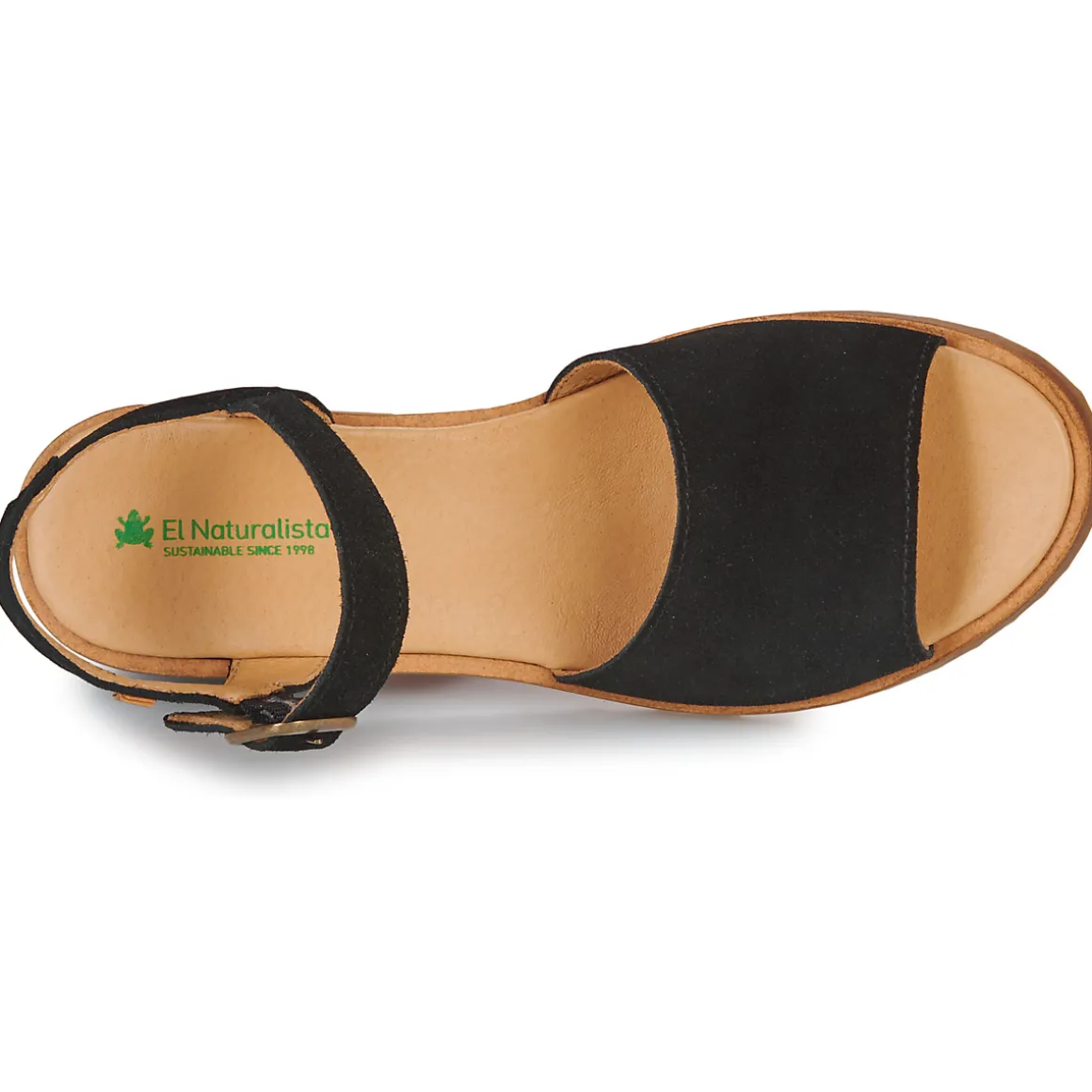 El Naturalista - SABAL N5801