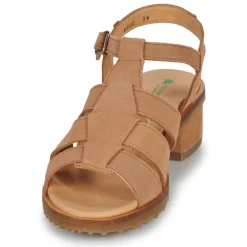 El Naturalista - SABAL N5800