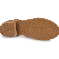 El Naturalista - SABAL N5800