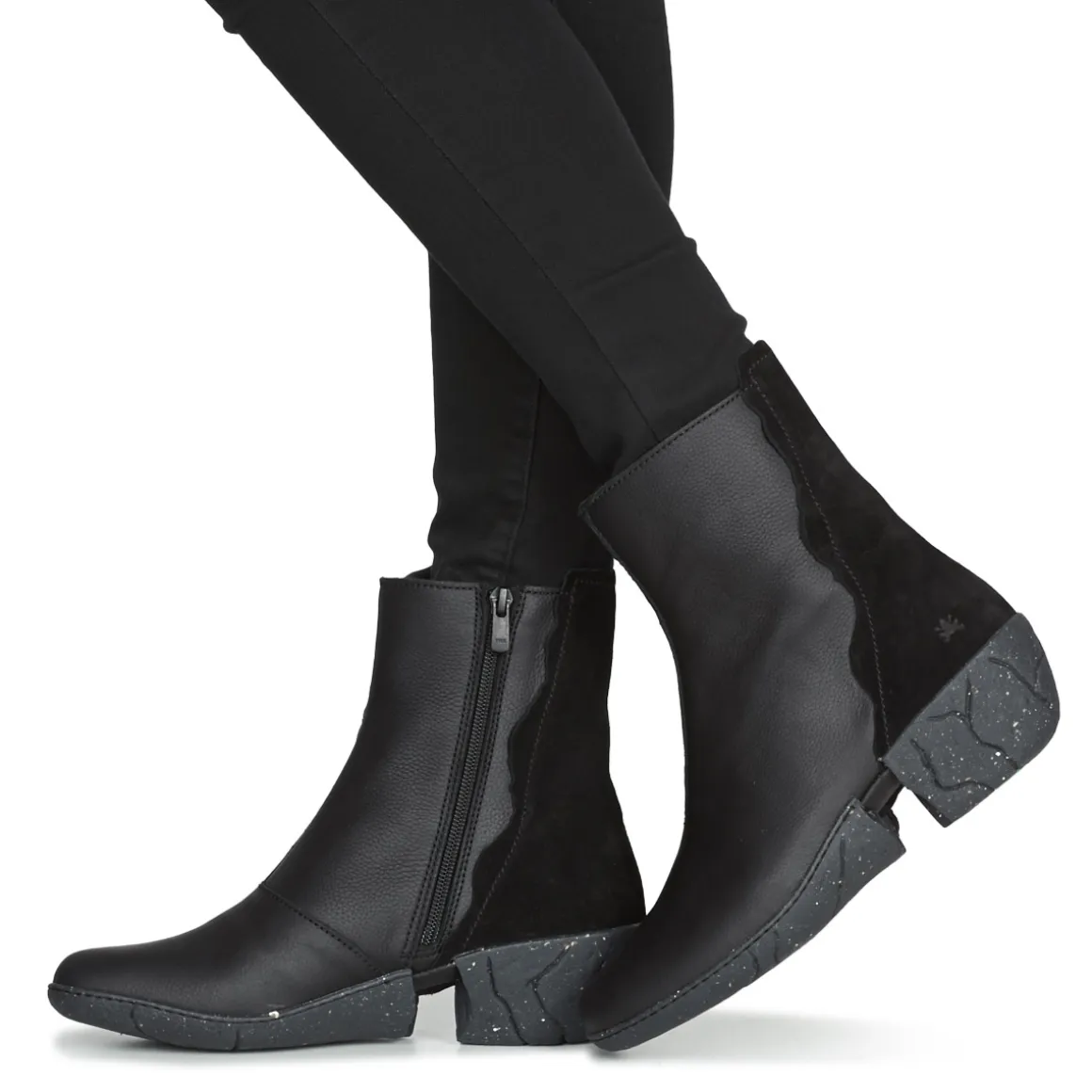 El Naturalista - SOFT