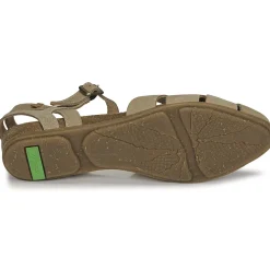 El Naturalista - STELLA N5207