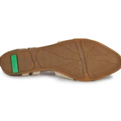 El Naturalista - STELLA N5207