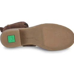 El Naturalista - TICINO N5660