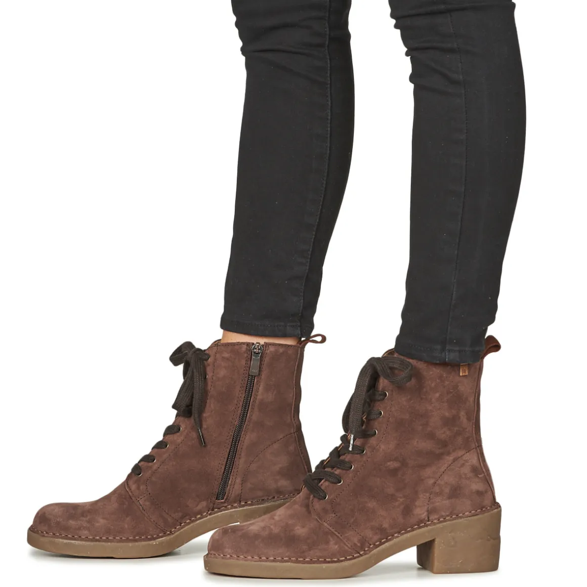 El Naturalista - TICINO N5660