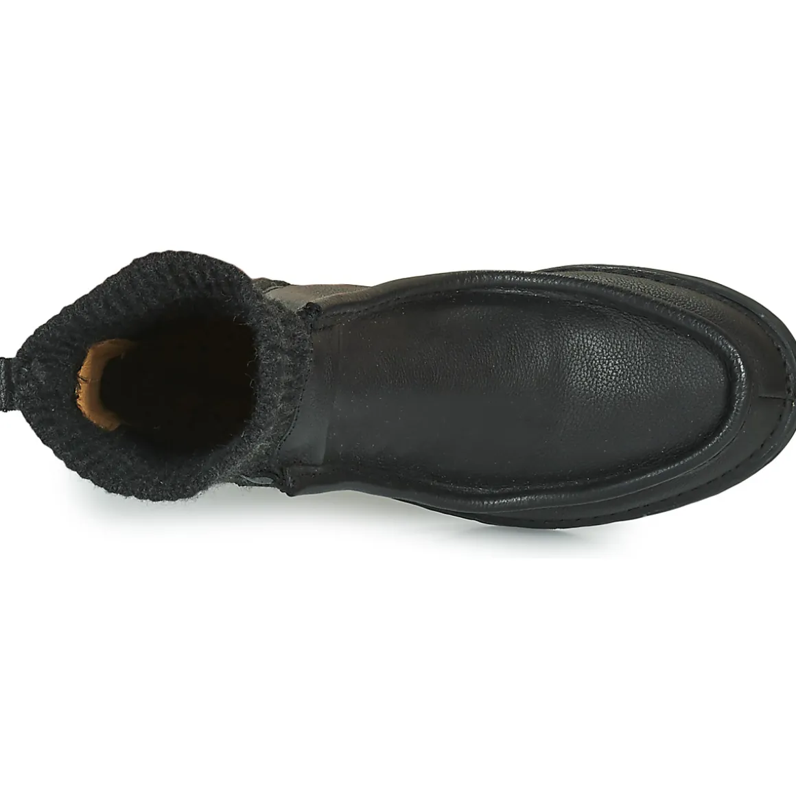 El Naturalista - TICINO N5661