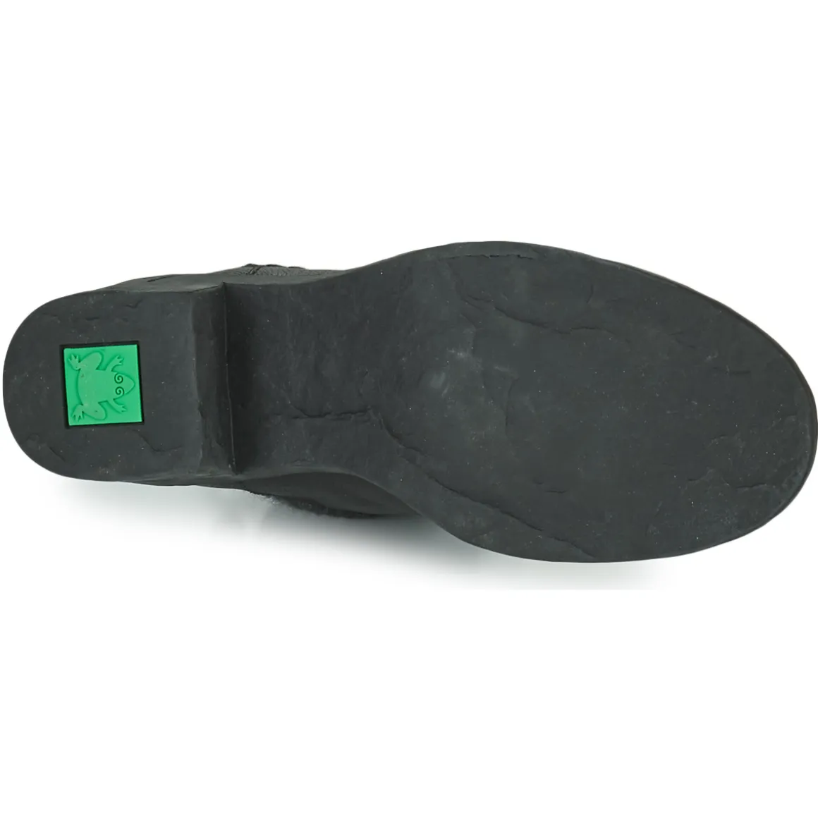 El Naturalista - TICINO N5661