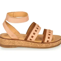 El Naturalista - TÜLBEND