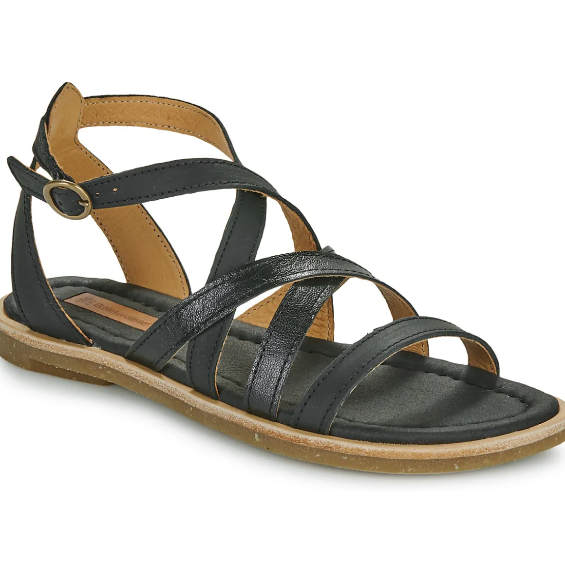 El Naturalista - TONAMI