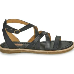 El Naturalista - TONAMI