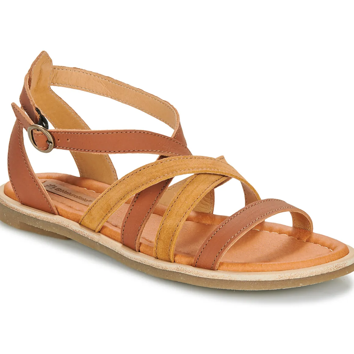 El Naturalista - TONAMI