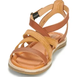 El Naturalista - TONAMI