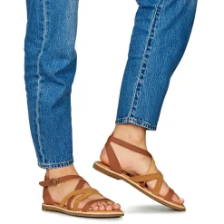 El Naturalista - TONAMI