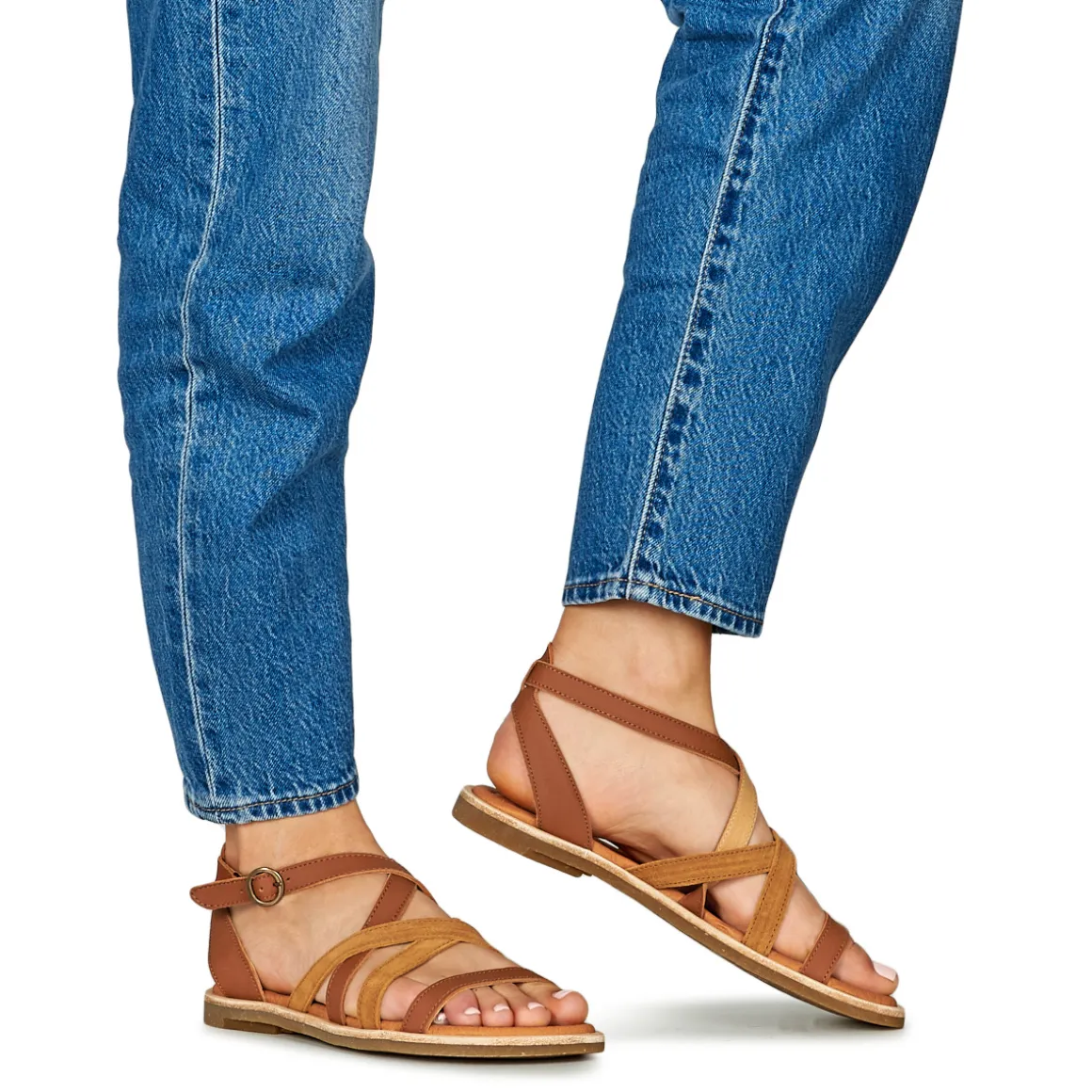 El Naturalista - TONAMI