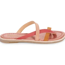 El Naturalista - TONAMI