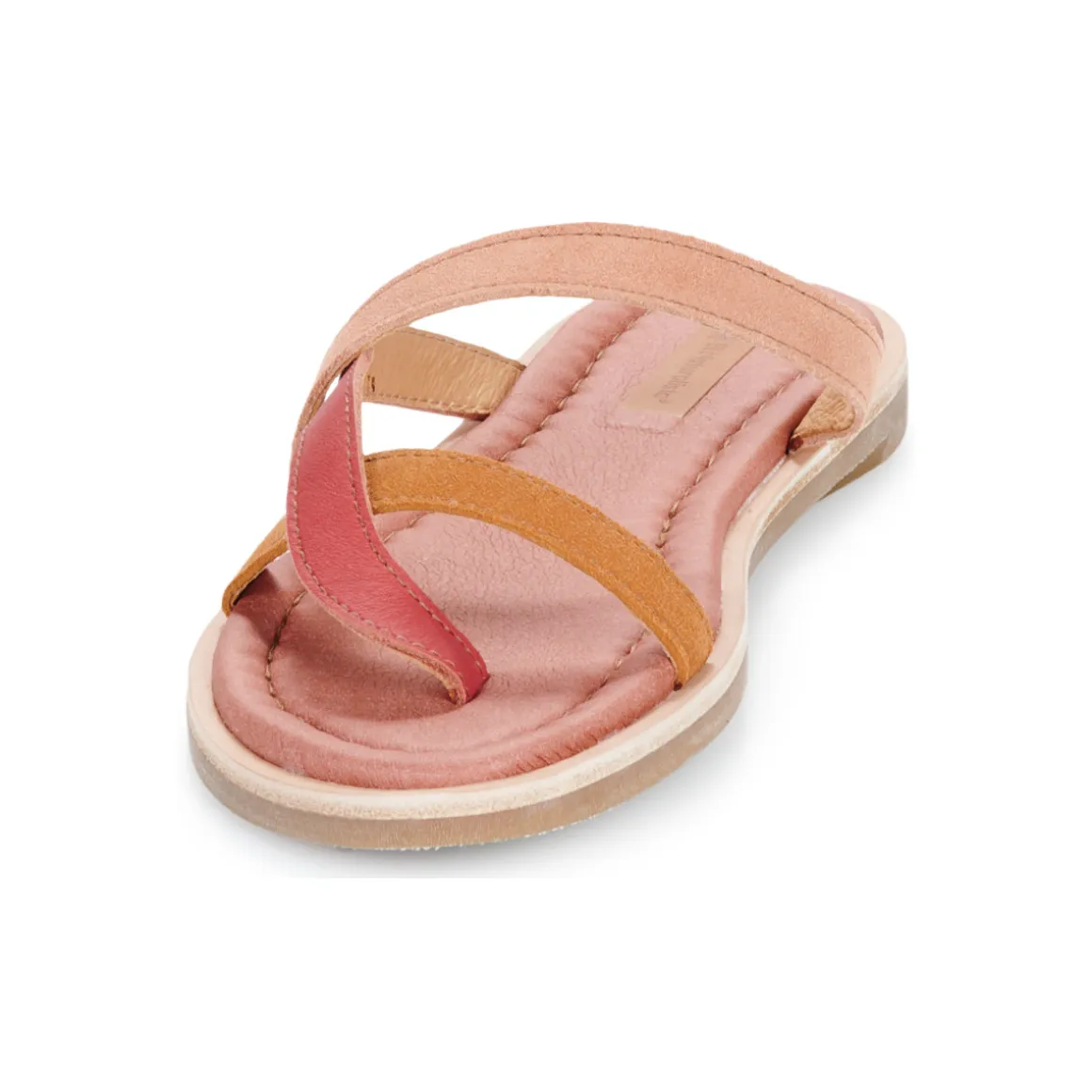 El Naturalista - TONAMI