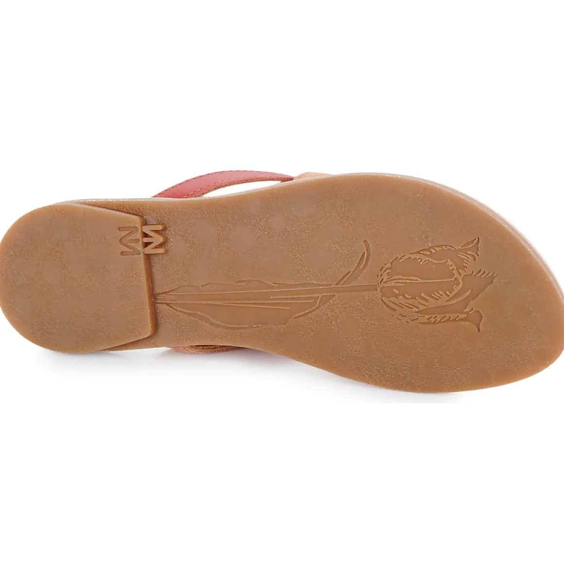 El Naturalista - TONAMI