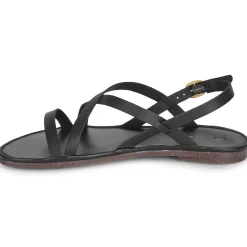 El Naturalista - TULIP N5694