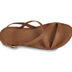 El Naturalista - TULIP N5694