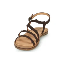 El Naturalista - TULIP N5193