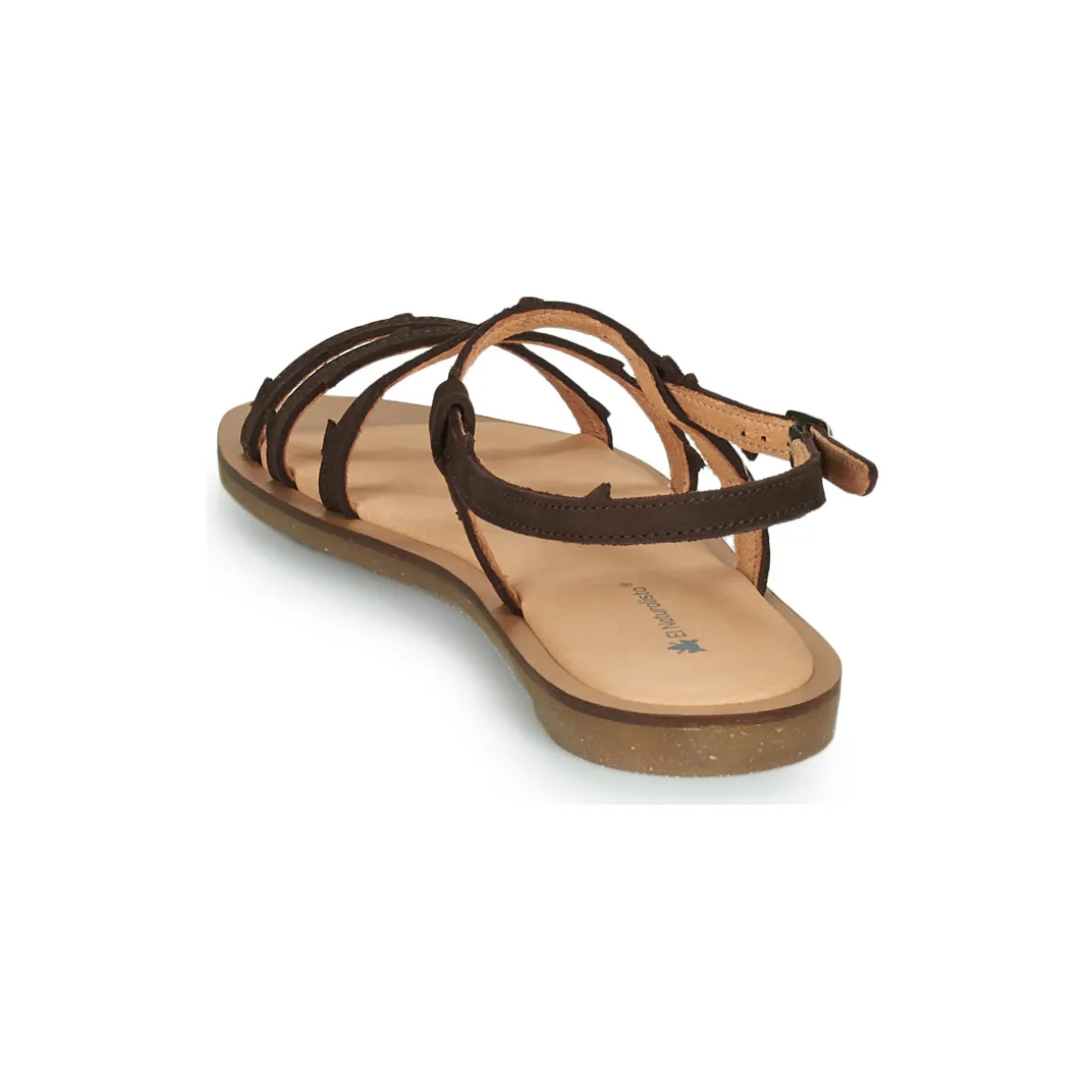 El Naturalista - TULIP N5193