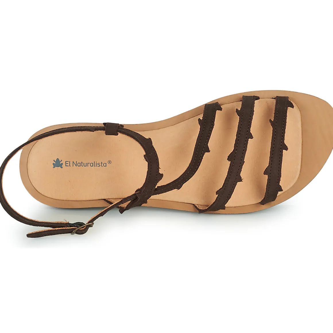 El Naturalista - TULIP N5193